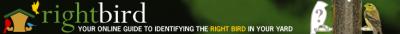 rightbird